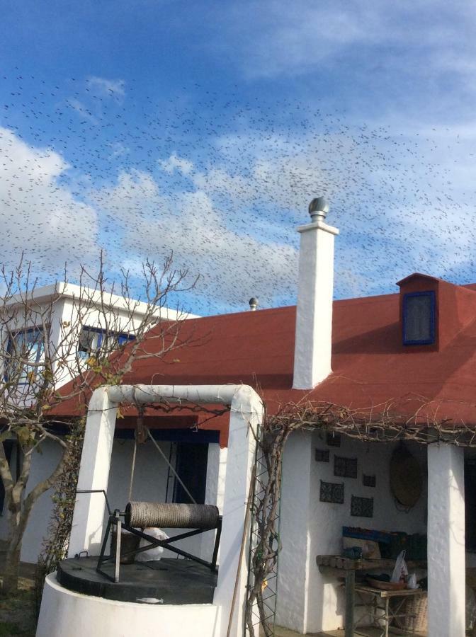 La Casa De Las Higueras Dar Karmus Tétouan Εξωτερικό φωτογραφία